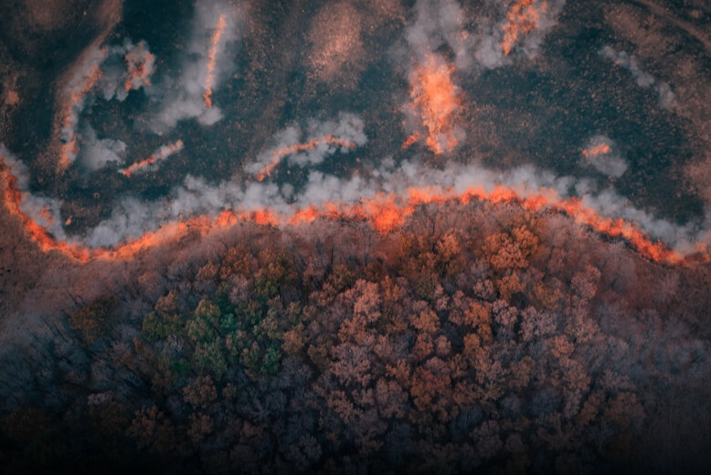 ed6f4935a83bcac6996dd9b1b48d6c9e DJI wildfires